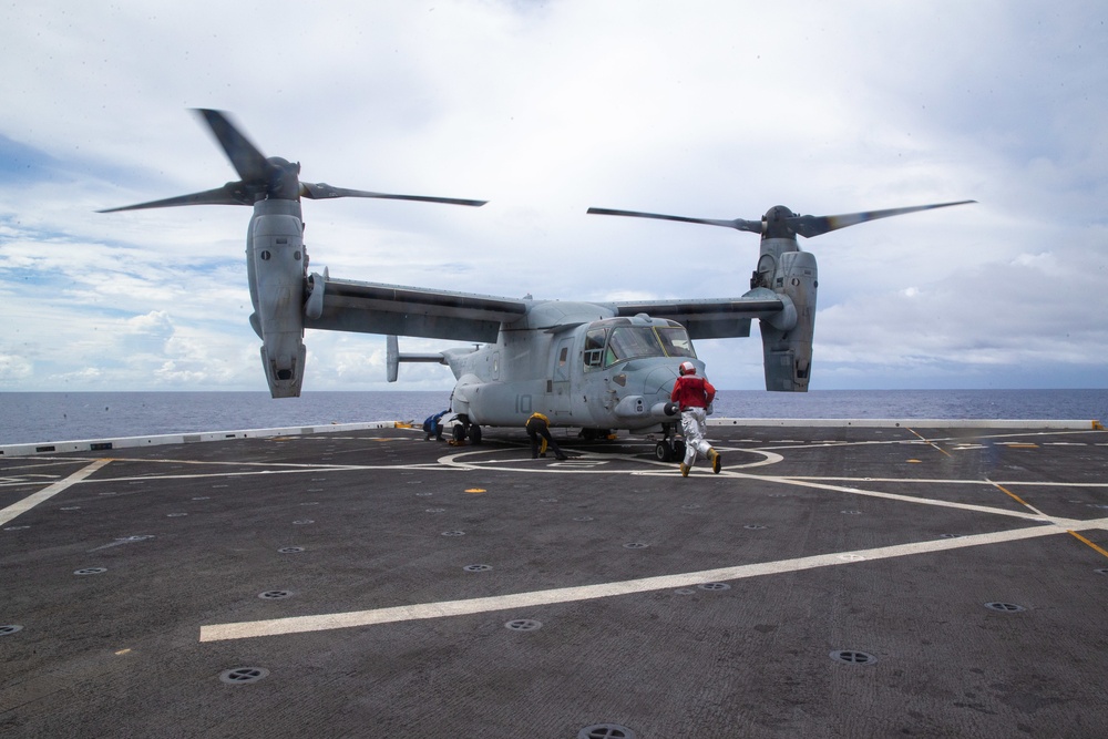 Osprey Landing