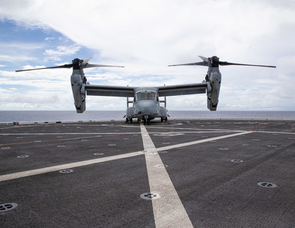 Osprey Landing