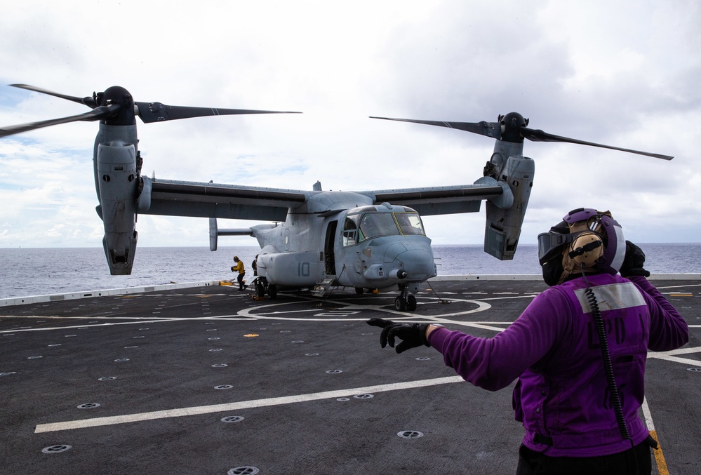 Osprey Landing