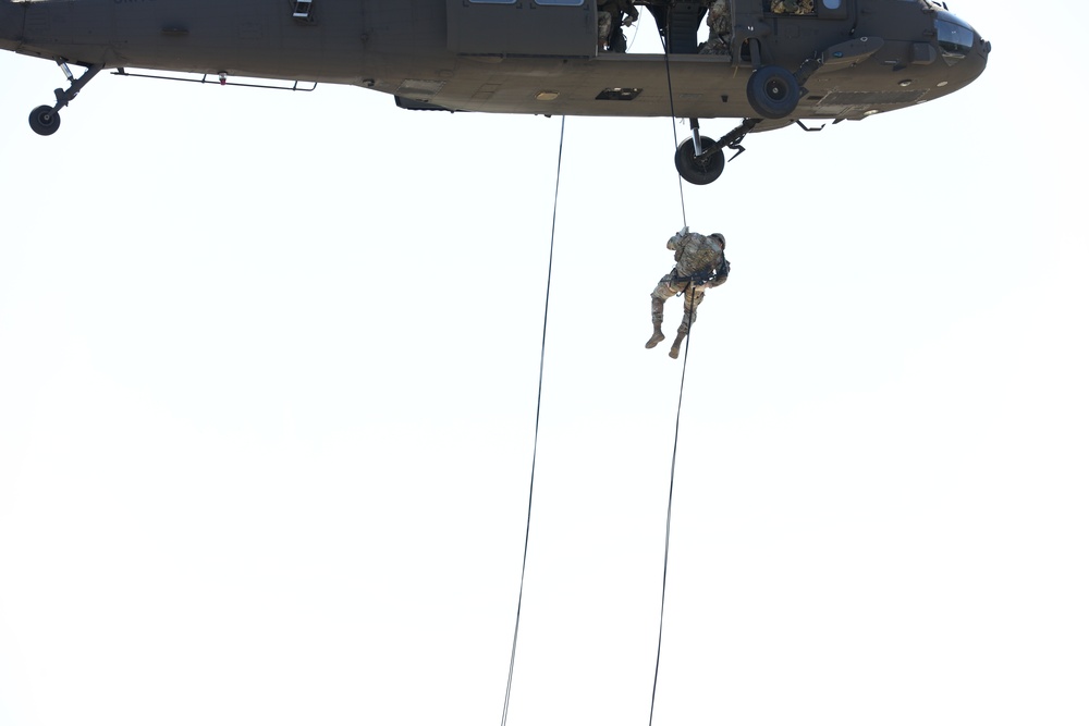 Scouts from the 1/110th Infantry Regiment rappel from a UH-60 Black Hawk during a live fire training exercise.