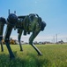 5th Civil Engineer Squadron, CBRN's newest member &quot;Chappie&quot; the robot dog 2022