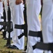 U.S. Navy Water Tender 1st Class Milo E. Phillips Internment Ceremony