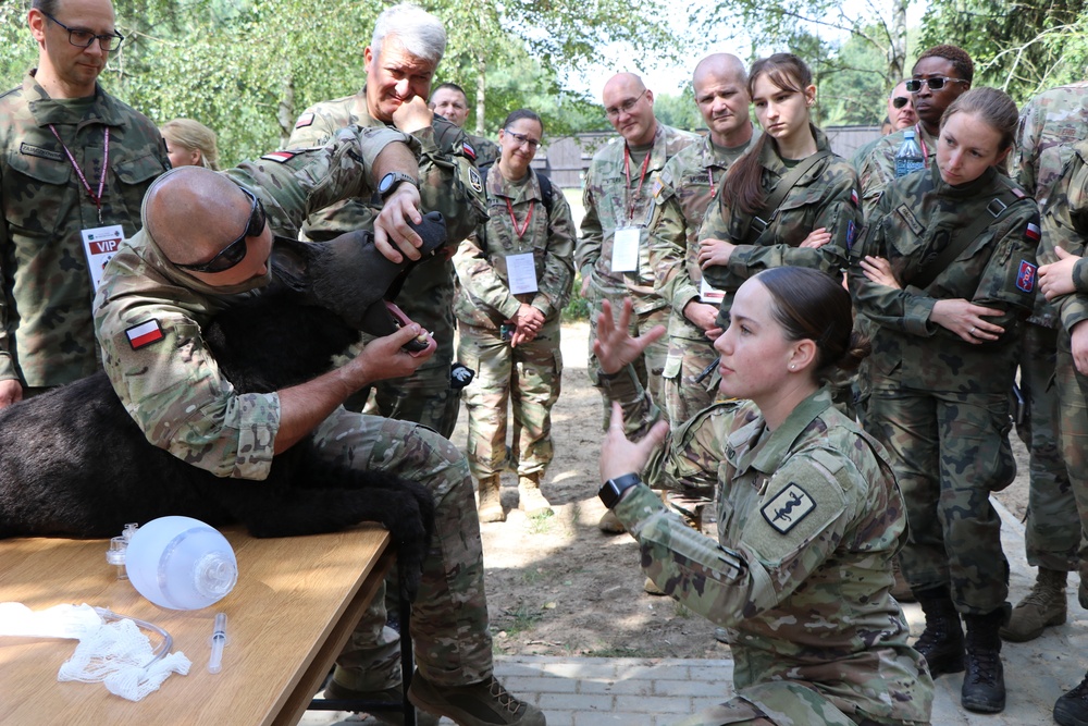 Building Combat Medicine interoperability with Polish Allies