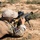 The European Best Sniper Team Competition begins at Hohenfels Training Area, Germany. The European Best Sniper Team Competition begins at Hohenfels Training Area, Germany.