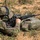 The European Best Sniper Team Competition begins at Hohenfels Training Area, Germany. The European Best Sniper Team Competition begins at Hohenfels Training Area, Germany.