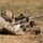 The European Best Sniper Team Competition begins at Hohenfels Training Area, Germany. The European Best Sniper Team Competition begins at Hohenfels Training Area, Germany.