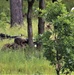 2nd Battalion, 24th Marines conduct 2022 training at Fort McCoy