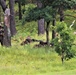 2nd Battalion, 24th Marines conduct 2022 training at Fort McCoy