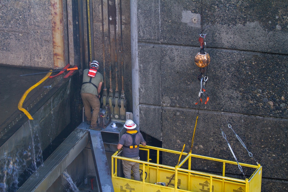 Crew work quickly to repair the upstream navigation lock gate at John Day Lock and Dam, with Portland District, U.S. Army Corps of Engineers, Aug 3.