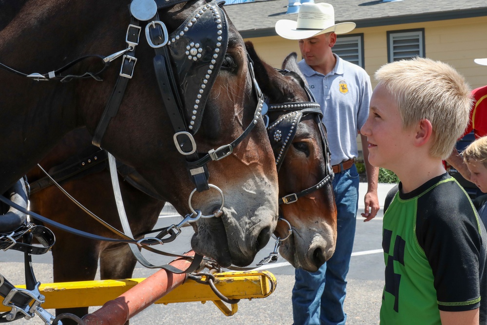 Fort Carson Mounted Color Guard visit the Garfield County Fair 2022