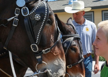 Fort Carson Mounted Color Guard visit the Garfield County Fair 2022