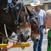 Fort Carson Mounted Color Guard visit the Garfield County Fair 2022