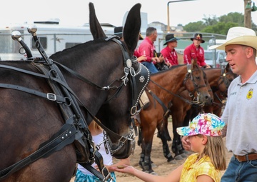 Fort Carson Mounted Color Guard visit the Garfield County Fair 2022