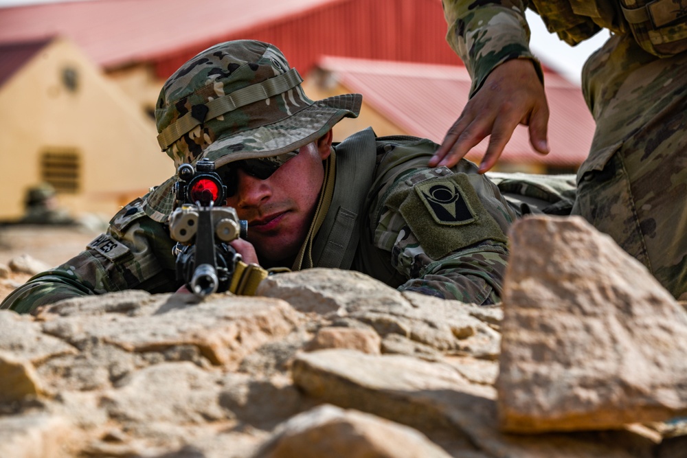 Task Force Hurricane Platoon Immersion 3