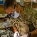 Military Working Dog sees the Dentist