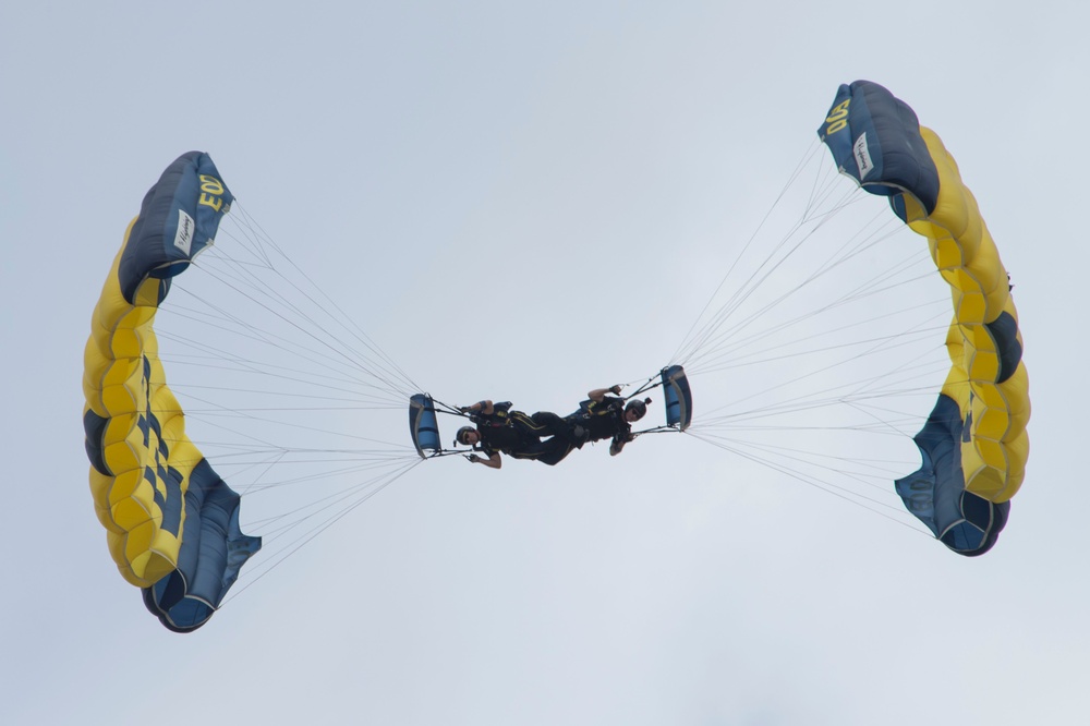 Leap Frogs Parachute Into the Alliant Energy Center