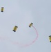 Leap Frogs Parachute Into the Alliant Energy Center