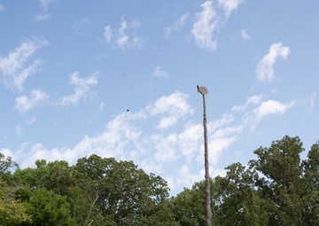 IRT Rotation #8 Cultural Day