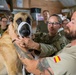 Nacho, a Spanish Military Working Dog