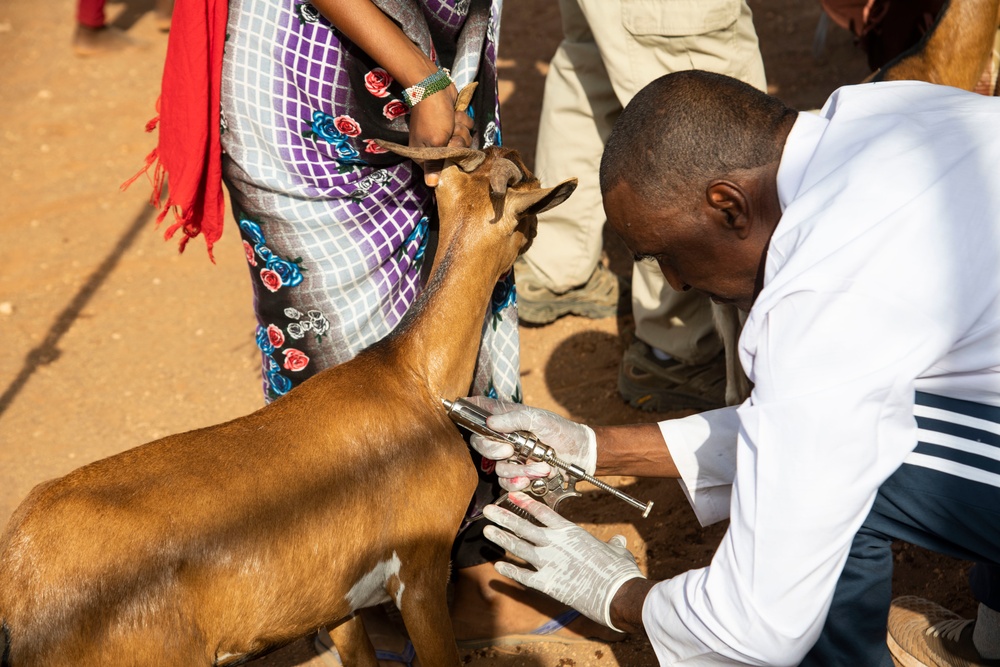 Civil Affairs improves herd health in East Africa