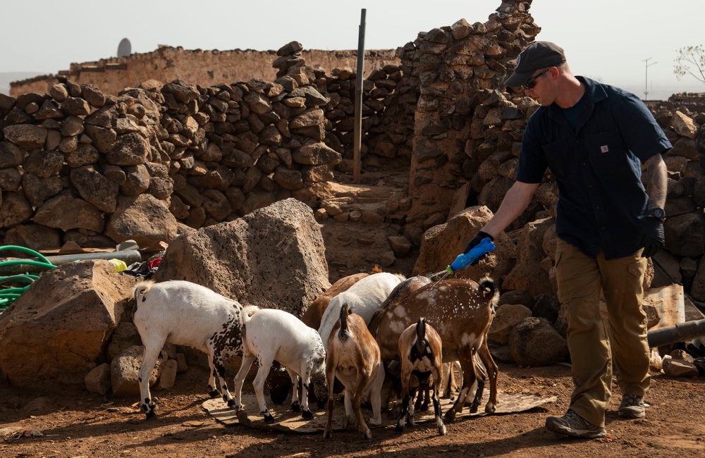 Civil Affairs improves herd health in East Africa