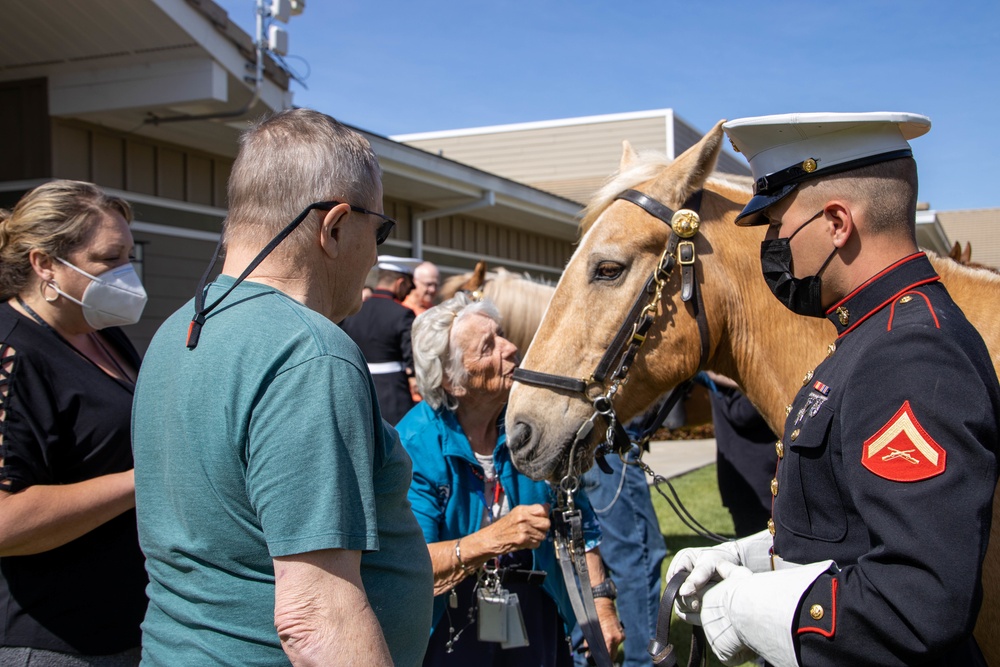 USMC Mounted Color Guard Bring Mustangs to Redding Veterans Home