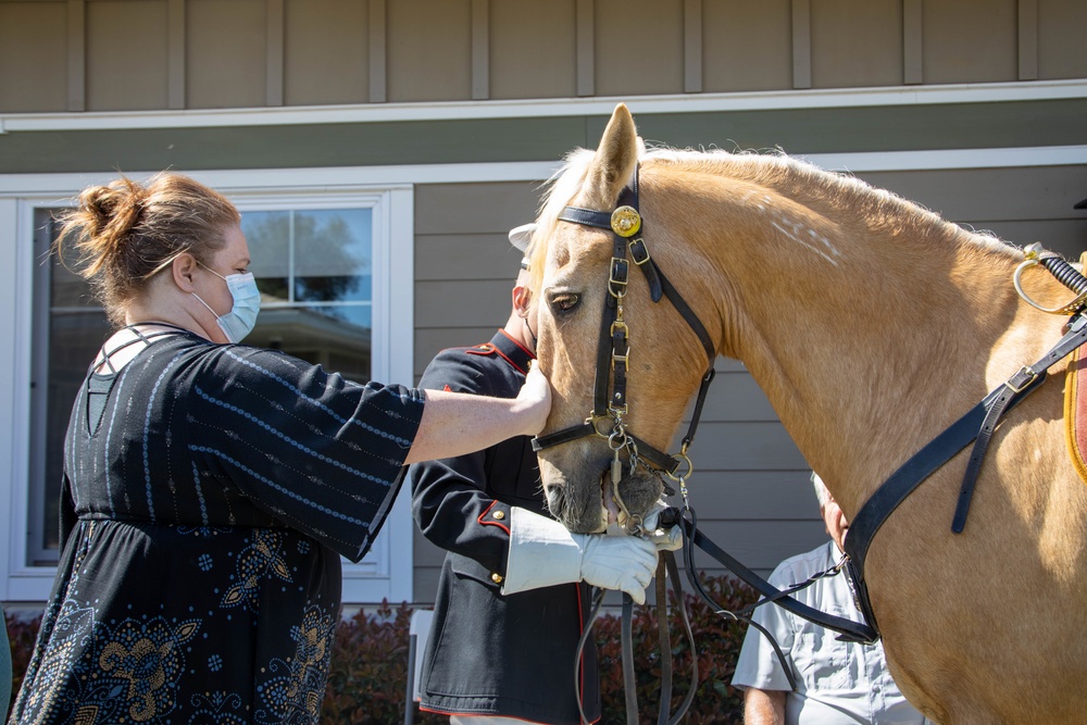 USMC Mounted Color Guard Bring Mustangs to Redding Veterans Home