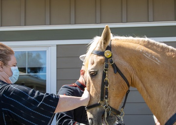 USMC Mounted Color Guard Bring Mustangs to Redding Veterans Home