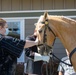 USMC Mounted Color Guard Bring Mustangs to Redding Veterans Home