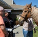 USMC Mounted Color Guard Bring Mustangs to Redding Veterans Home