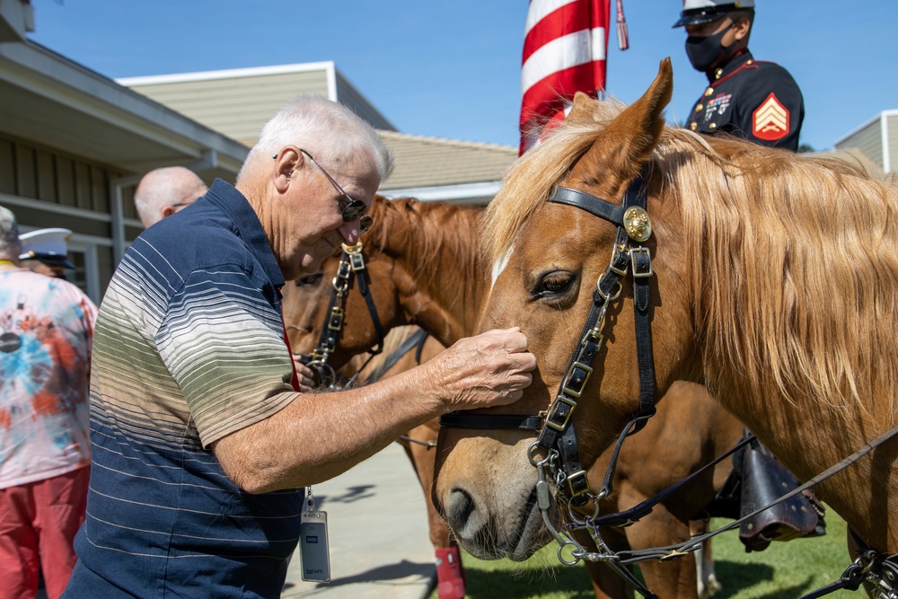 USMC Mounted Color Guard Bring Mustangs to Redding Veterans Home