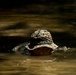 Marines with Guard Company increase their security forces skills at Marine Corps Base Quantico, Va.