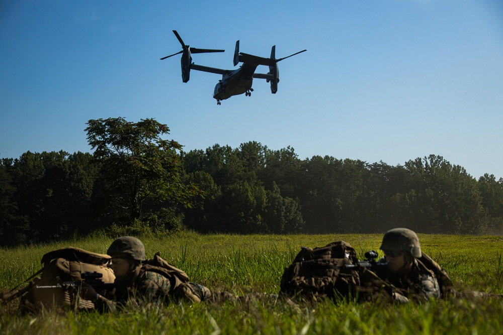 Marines with Guard Company increase their security forces skills at Marine Corps Base Quantico, Va.