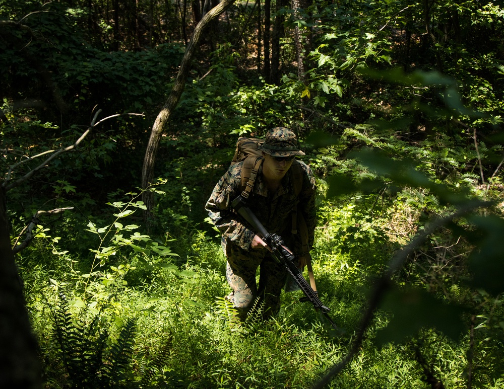 Marines with Guard Company increase their security forces skills at Marine Corps Base Quantico, Va.