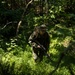 Marines with Guard Company increase their security forces skills at Marine Corps Base Quantico, Va.