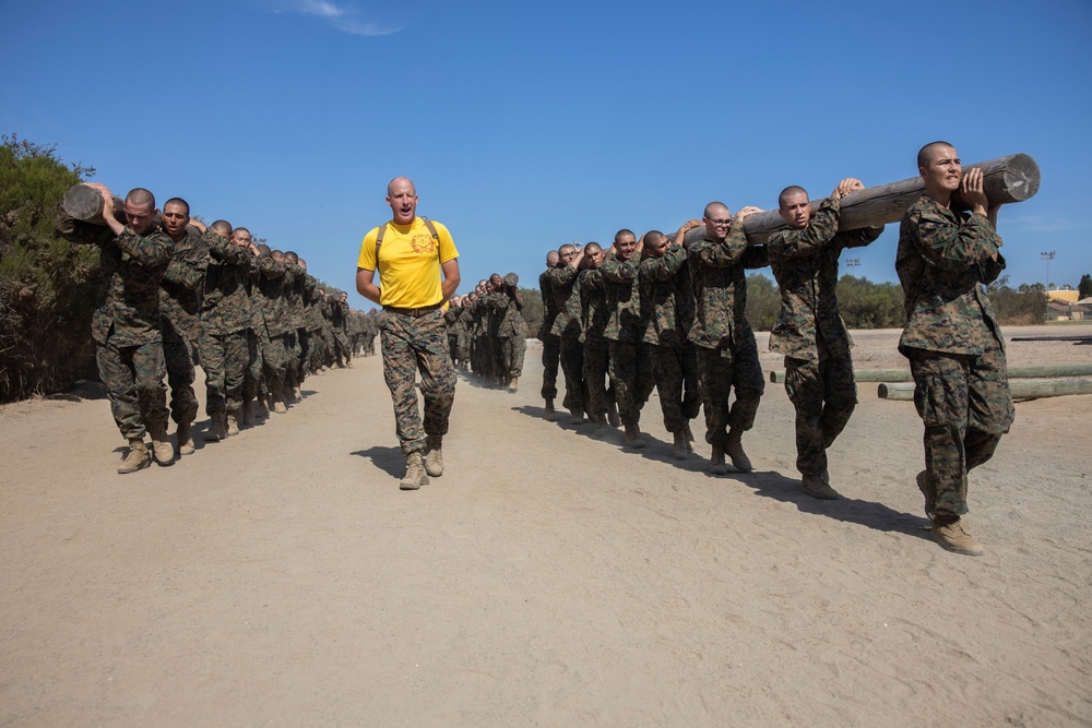 Fox Company Log Drills