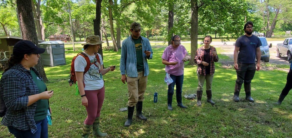 Building Wetland Regulators