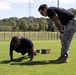 Toughen up Tupelo | Future Marines Conduct Fitness Event