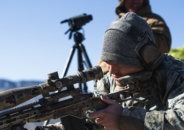 Scout Snipers engage targets from high angles during Mountain Scout Sniper Course