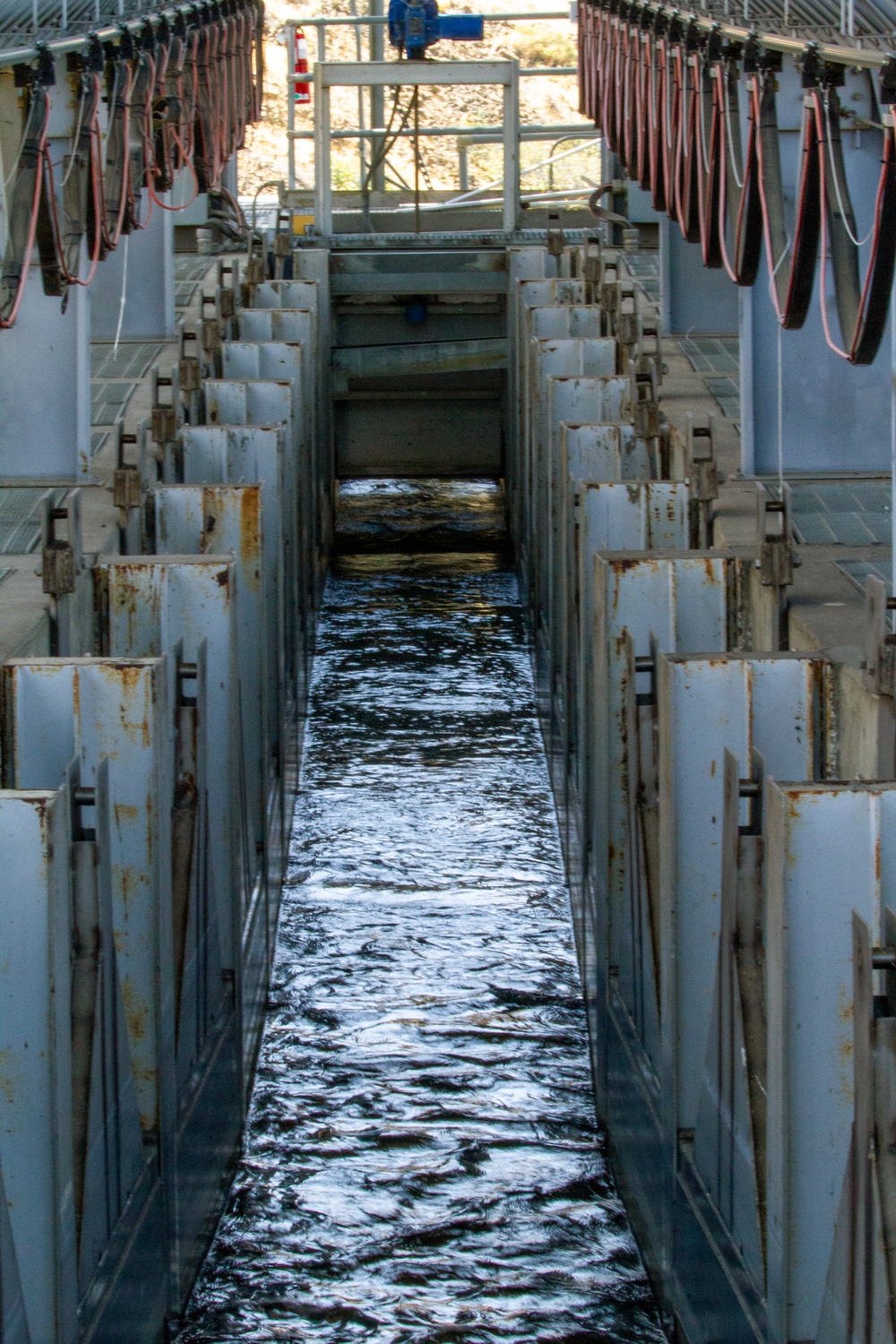 Fishh Ladder, John Day Lock &amp; Dam, Aug. 3, 2022