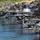 Tribal Fishing Platforms, John Day Lock & Dam, Aug. 3, 2022 Tribal Fishing Platforms, John Day Lock & Dam, Aug. 3, 2022