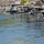 Tribal Fishing Platforms, John Day Lock & Dam, Aug. 3, 2022 Tribal Fishing Platforms, John Day Lock & Dam, Aug. 3, 2022