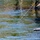 Tribal Fishing Platforms, John Day Lock & Dam, Aug. 3, 2022 Tribal Fishing Platforms, John Day Lock & Dam, Aug. 3, 2022