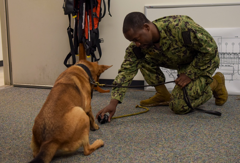 NSF Diego Garcia MWD Certification and Training