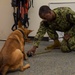 NSF Diego Garcia MWD Certification and Training