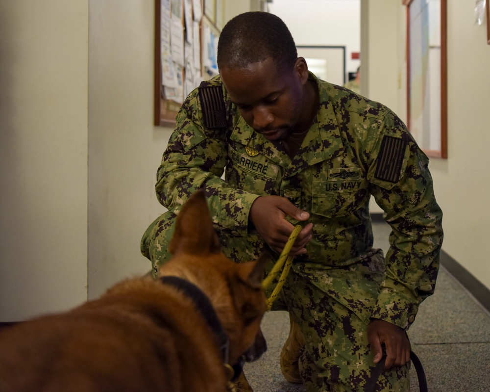 NSF Diego Garcia MWD Certification and Training