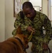 NSF Diego Garcia MWD Certification and Training