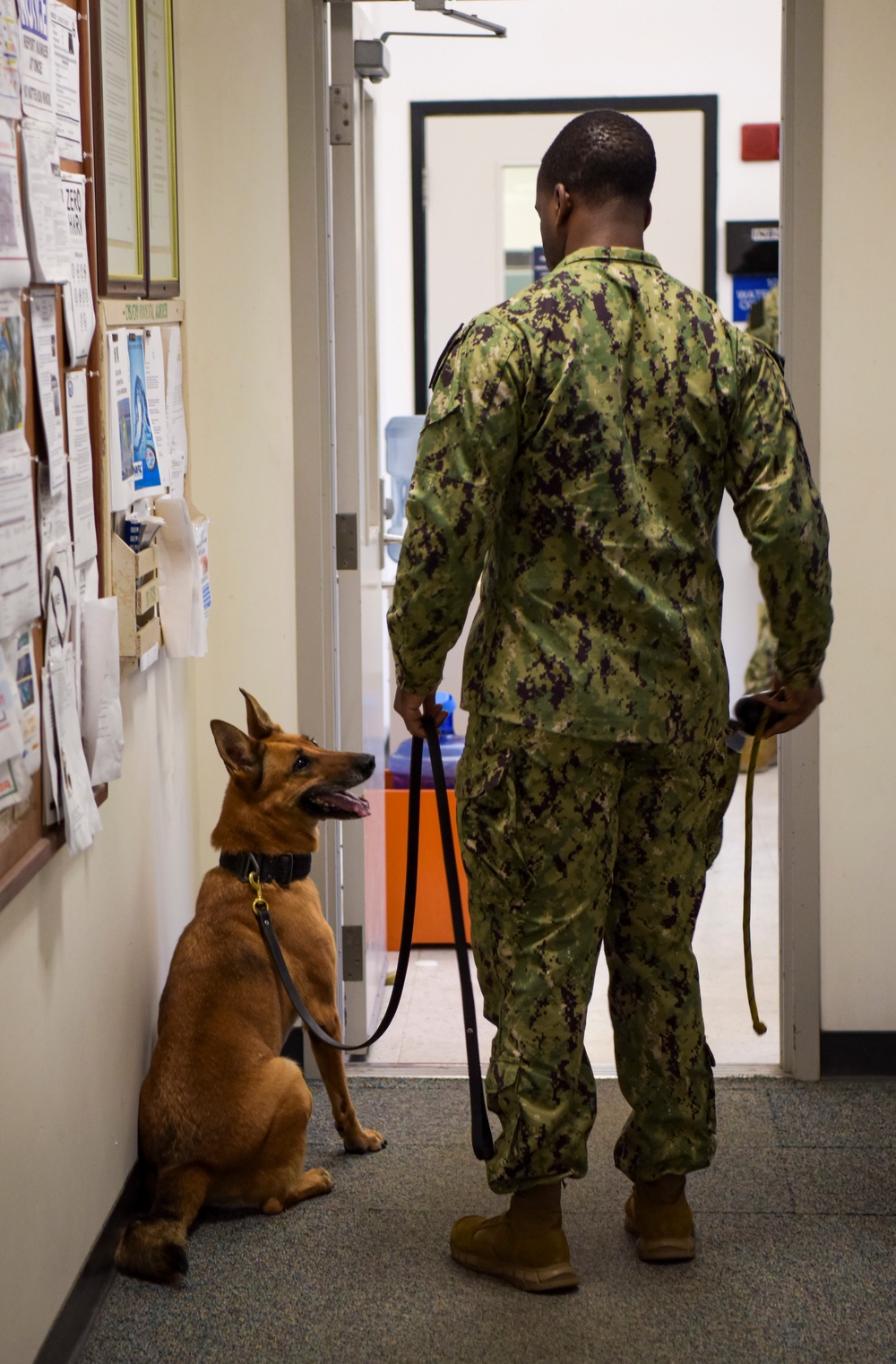 NSF Diego Garcia MWD Certification and Training