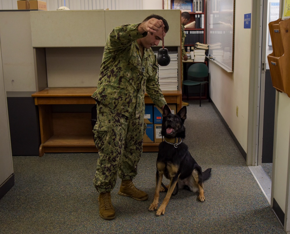 NSF Diego Garcia MWD Certification and Training