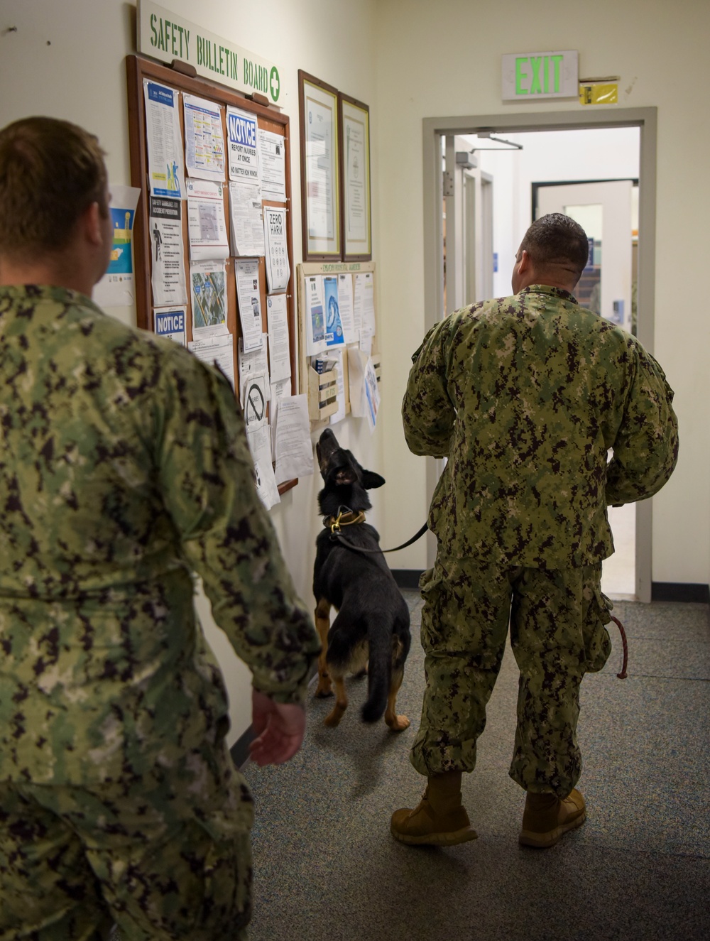 NSF Diego Garcia MWD Certification and Training